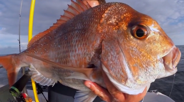 Video: Lure Addicts – South Coast Friday afternoon offshore